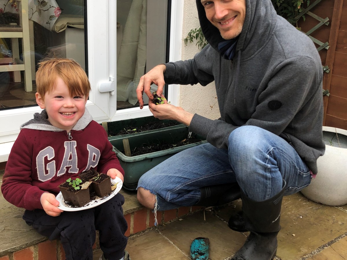 Coping with Isolation Meltdown