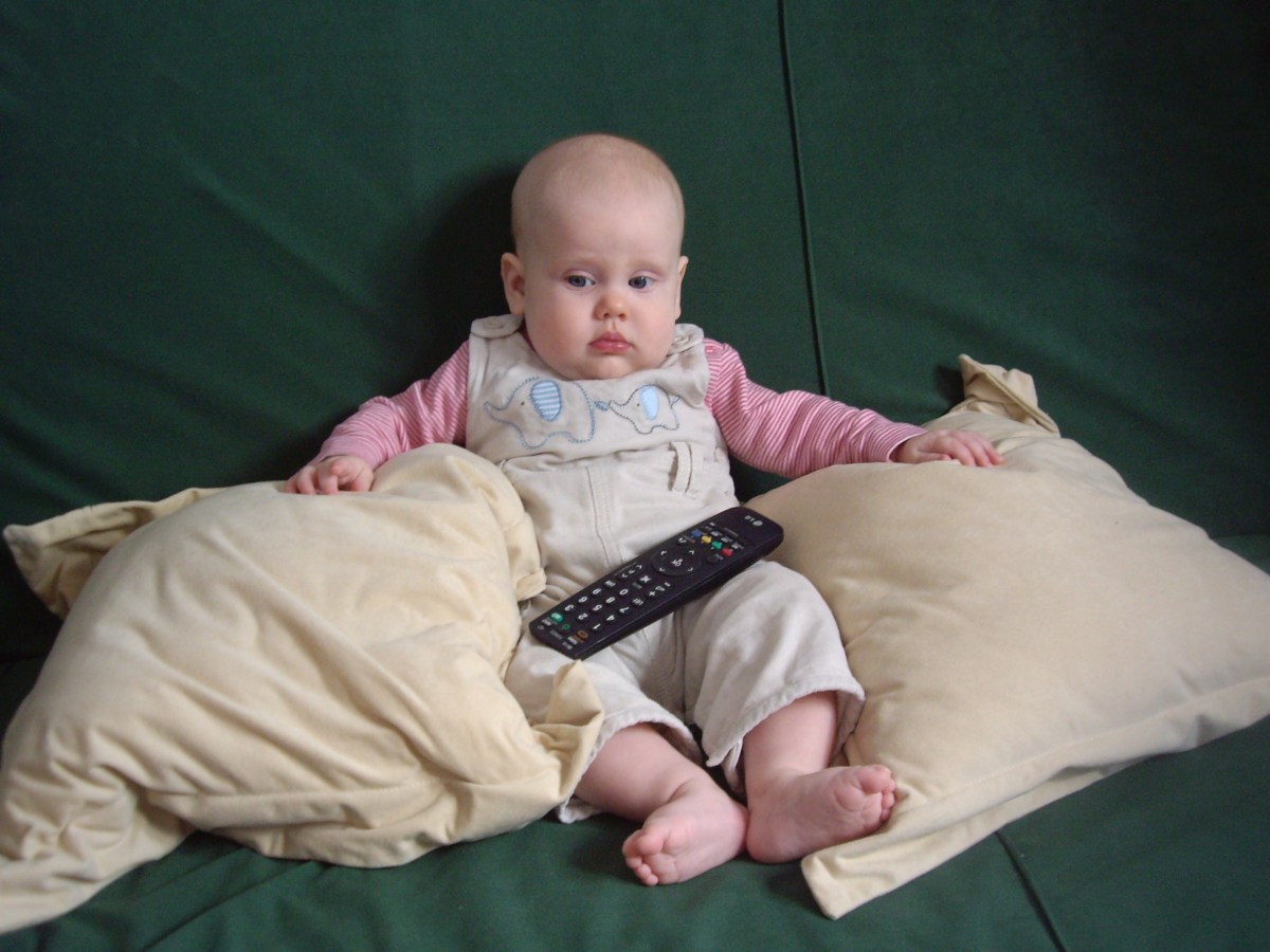 Worried About Too Much TV?