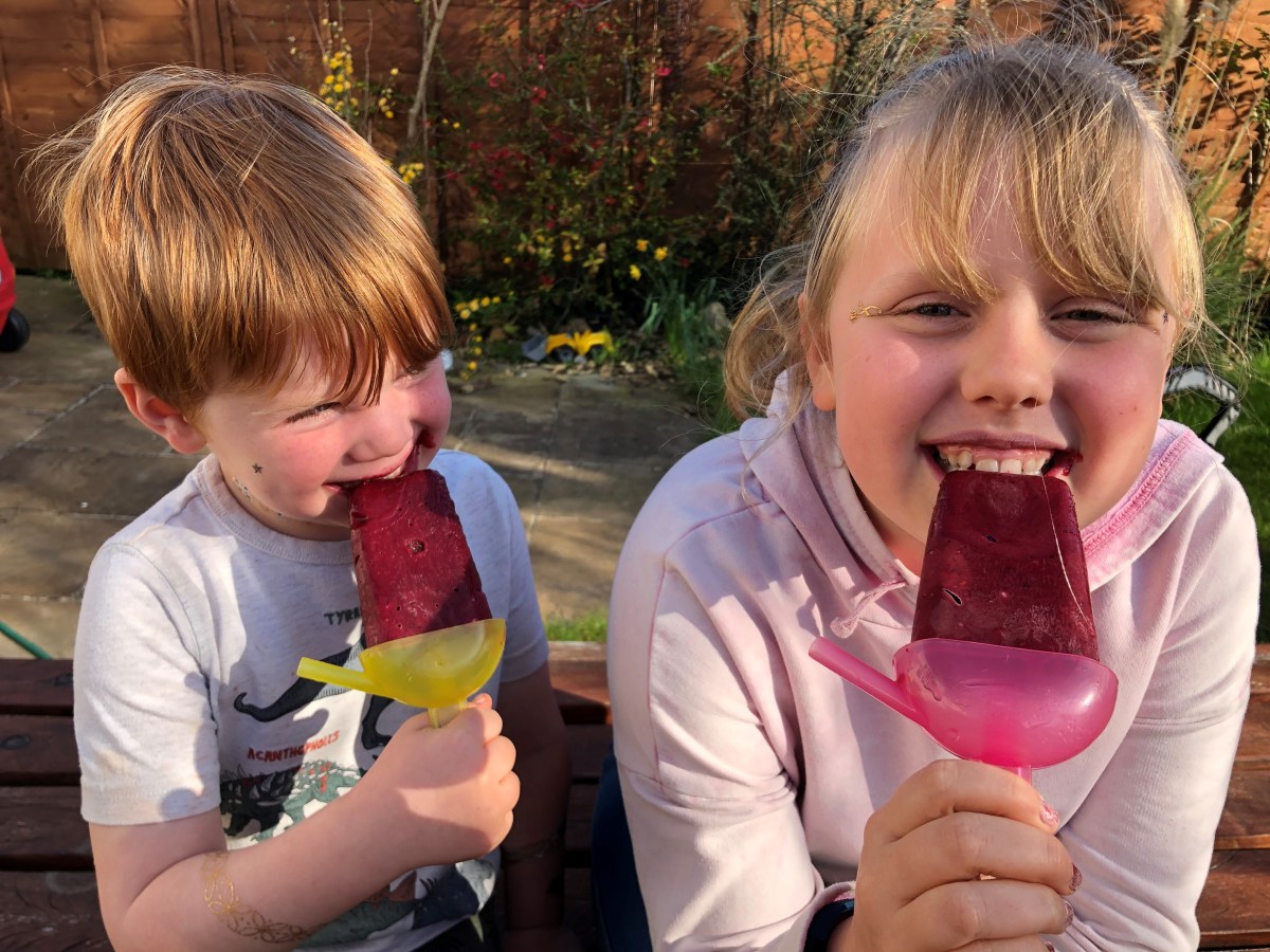 Homemade Elderberry Syrup